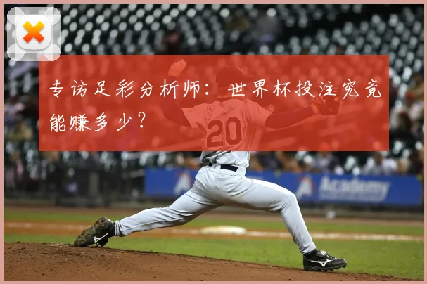 专访足彩分析师：世界杯投注究竟能赚多少？
