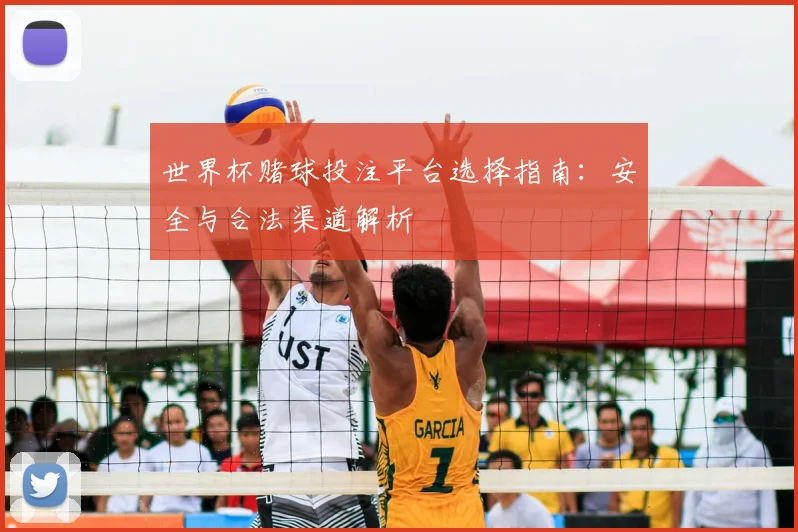 世界杯赌球投注平台选择指南:安全与合法渠道解析