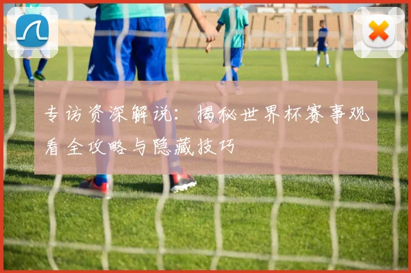 专访资深解说：揭秘世界杯赛事观看全攻略与隐藏技巧