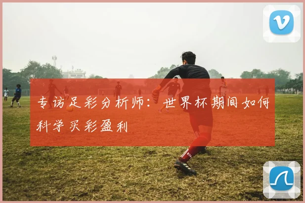 专访足彩分析师:世界杯期间如何科学买彩盈利
