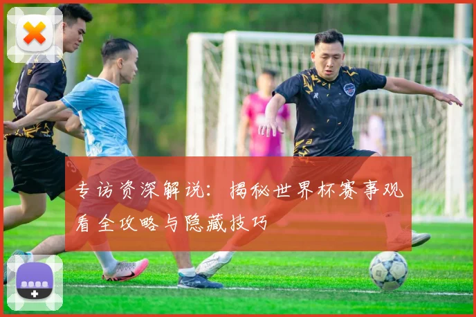 专访资深解说：揭秘世界杯赛事观看全攻略与隐藏技巧
