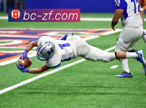 mksports登录入口平台生态图
